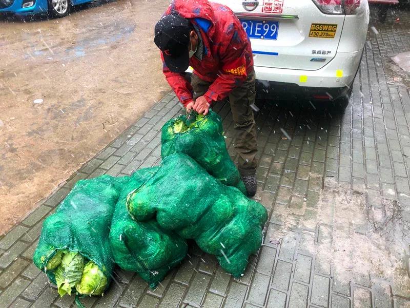 冒著風雪分送蔬菜