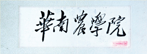 1952年11月28日，毛澤東主席親筆題寫的“華南農學院”校名.jpg